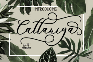 Cattaniya: A Handmade Calligraphy Font for Creative Expression