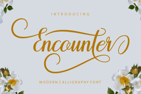 Encounter: A Modern Script Font for Trendy and Feminine Design